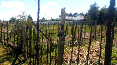 1/8 Plot Outspan With Title - Image 1