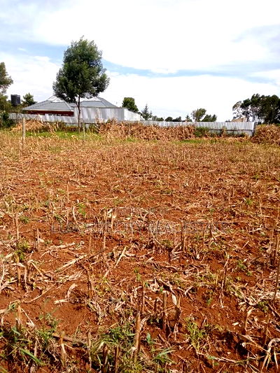 1/8 Plot Outspan With Title - Image 3