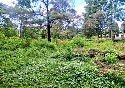 2-Acre Spring Valley Plot at KSh 410M