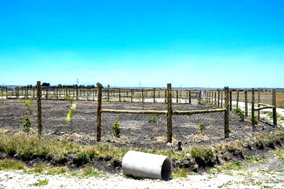 Kitengela Kisaju Plots - Image 4