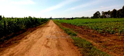 2.3 Acres for Sale in Sobea - Image 1