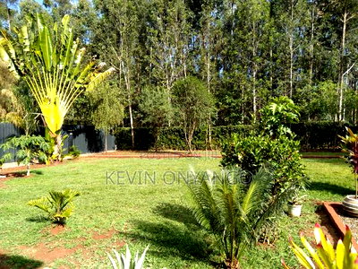 4bdrm Bungalow in Karen for rent - Image 6