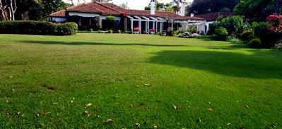 1.5-Acre Colonial Home on Kabarsiran Avenue - Lavington