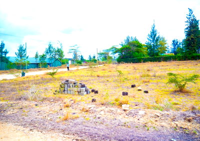 50x100 Plot with Garden in Athi River
