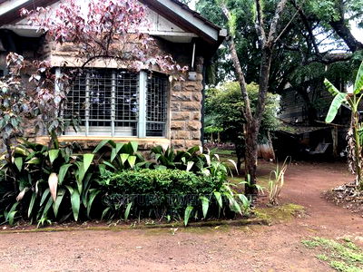 Developers Dream Plot - Image 1