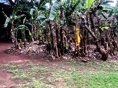 Developers Dream Plot - Image 3