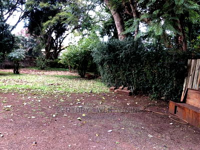 Developers Dream Plot - Image 5