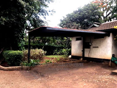 Developers Dream Plot - Image 2