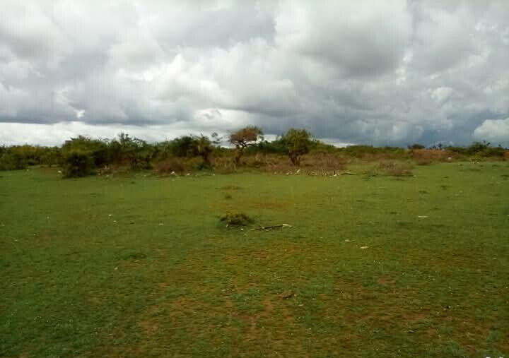 7.1-Acre Plot for KSh 132M