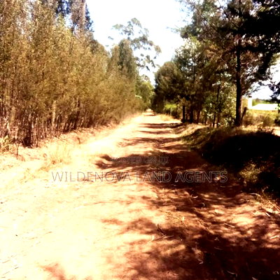 Land on Sale at Nyandarua - Image 2