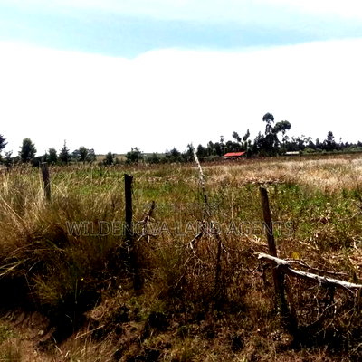 Land on Sale at Nyandarua - Image 5