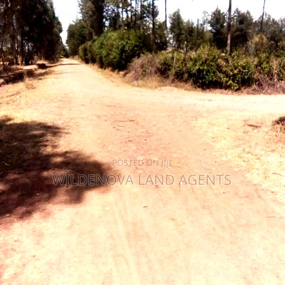 Land on Sale at Nyandarua - Image 4
