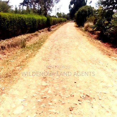 Land on Sale at Nyandarua - Image 8