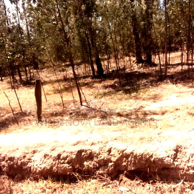 Land on Sale at Nyandarua - Image 3