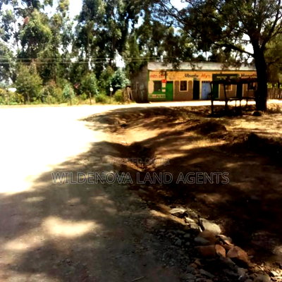 Land on Sale at Nyandarua - Image 13