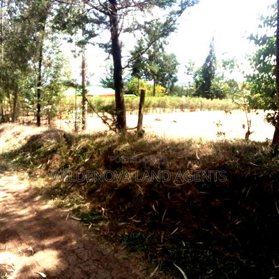 Land on Sale at Nyandarua - Image 1