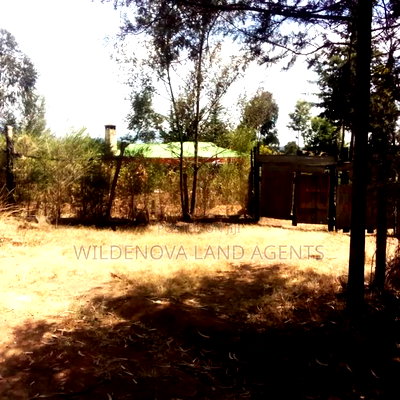 Land on Sale at Nyandarua - Image 12