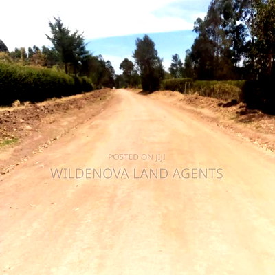 Land on Sale at Nyandarua - Image 11