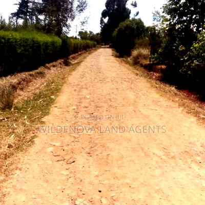 Land on Sale at Nyandarua - Image 6