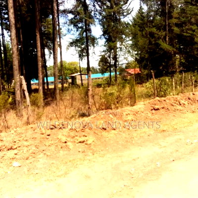 Land on Sale at Nyandarua - Image 10