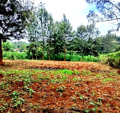 Half Acre Plot at KSh 35M