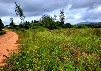 2.5 Acres Garden Land with Parking - Kwale