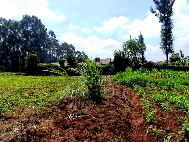 Prime Commercial Corner Plot for Sale in Gikambura, Kikuyu
