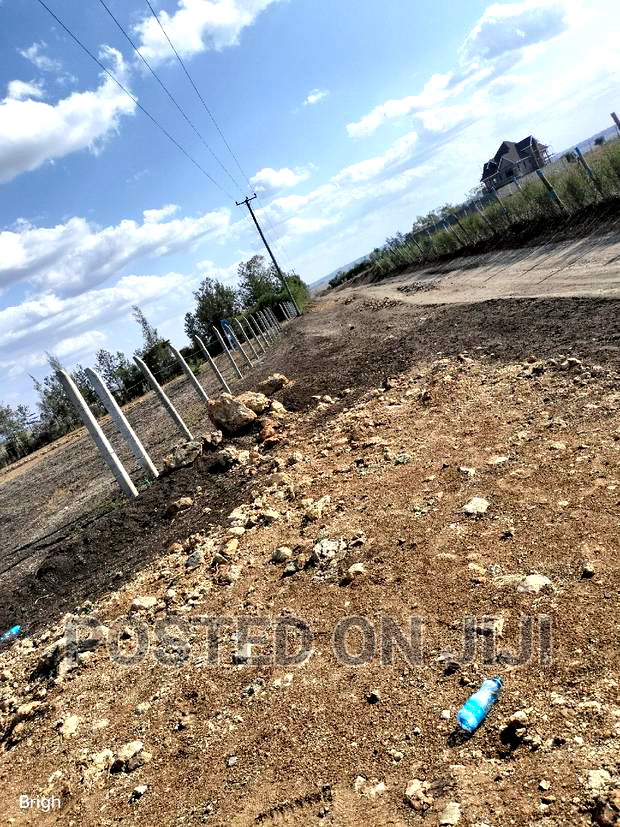 Don't Be Left Out on This Kamulu Plots.