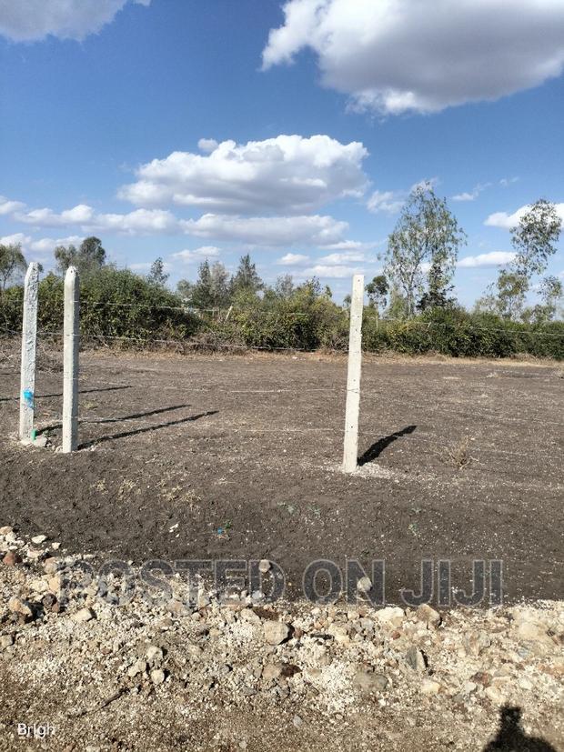 Don't Be Left Out on This Kamulu Plots.