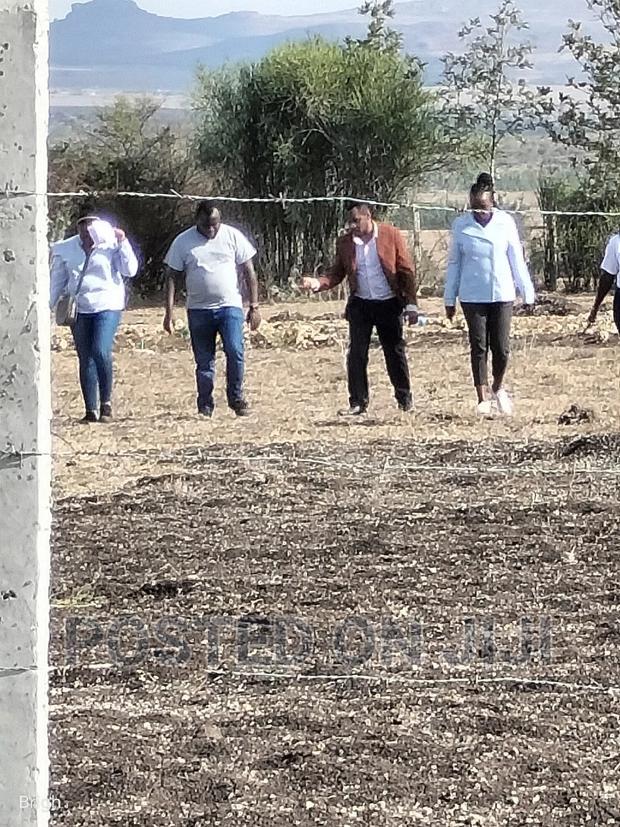 Don't Be Left Out on This Kamulu Plots.