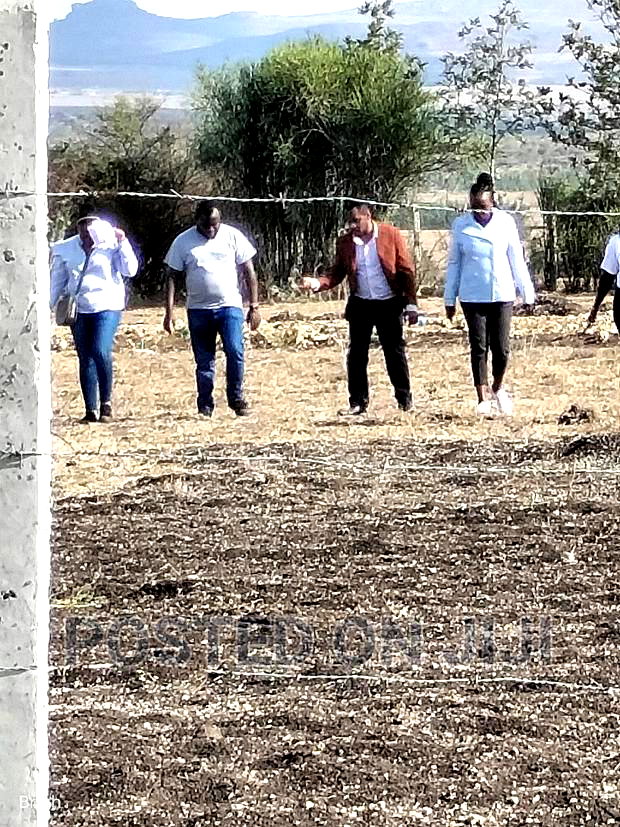 Don't Be Left Out on This Kamulu Plots.