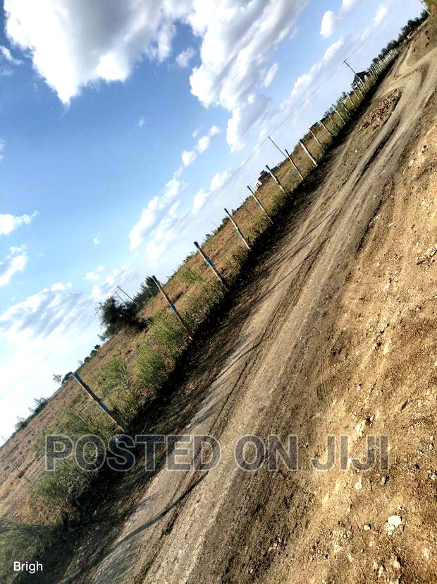 Don't Be Left Out on This Kamulu Plots.