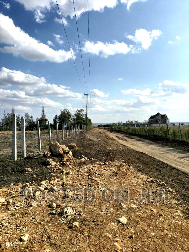 Don't Be Left Out on This Kamulu Plots.