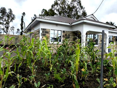 3bdrm Bungalow in Kiserian Near Delta for sale - Image 3