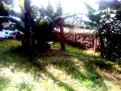 Three Eighth of an Acre Commercial Plot Thindigua - Image 4