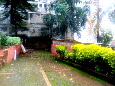 Three Eighth of an Acre Commercial Plot Thindigua - Image 2