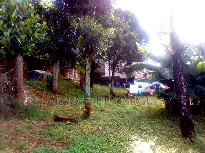 Three Eighth of an Acre Commercial Plot Thindigua - Image 6