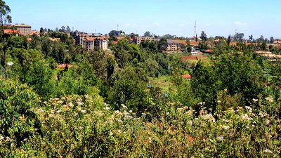 Kikuyu 2.5acres to Develop - Image 17