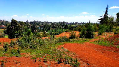 Kikuyu 2.5acres to Develop - Image 11