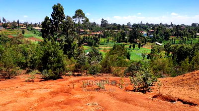 Kikuyu 2.5acres to Develop - Image 12