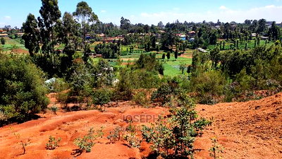 Kikuyu 2.5acres to Develop - Image 13