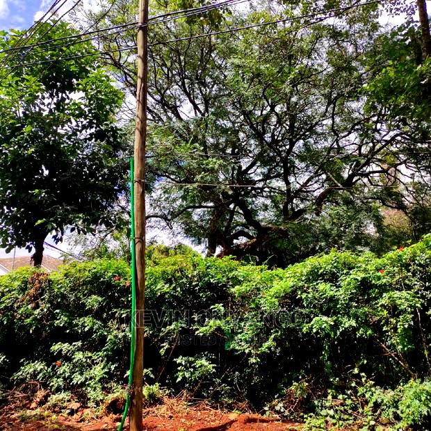 A 1/2 Acre Commercial in Developed Neighbourhood, Lavington