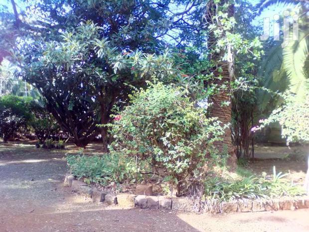 A 1/2 Acre Commercial in Developed Neighbourhood, Lavington