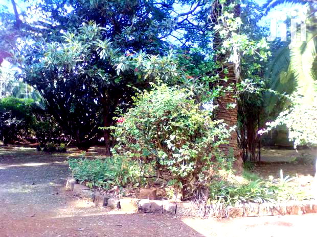 A 1/2 Acre Commercial in Developed Neighbourhood, Lavington