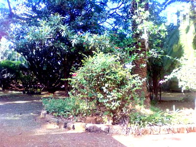 A 1/2 Acre Commercial in Developed Neighbourhood, Lavington - Image 1