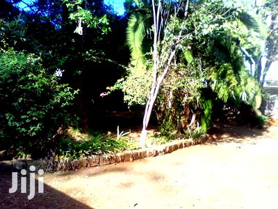 A 1/2 Acre Commercial in Developed Neighbourhood, Lavington - Image 4