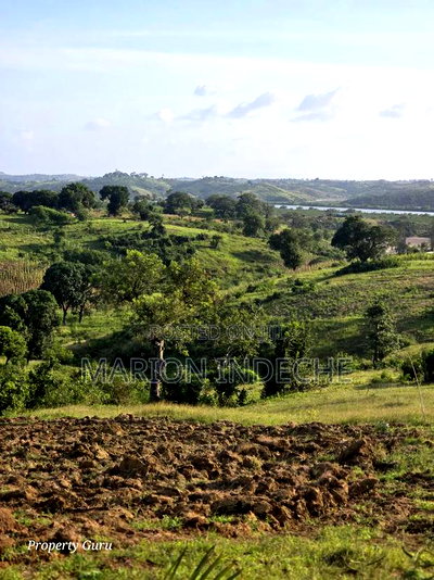 Mtwapa 1 Acre With a Creek View - Image 4
