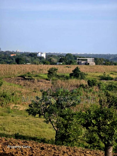 Mtwapa 1 Acre With a Creek View - Image 6