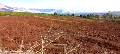 Quik Sale, 8acres in Mbogoini Subukia at 700,000 Per Acre. - Image 8