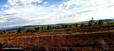 Quik Sale, 8acres in Mbogoini Subukia at 700,000 Per Acre. - Image 3